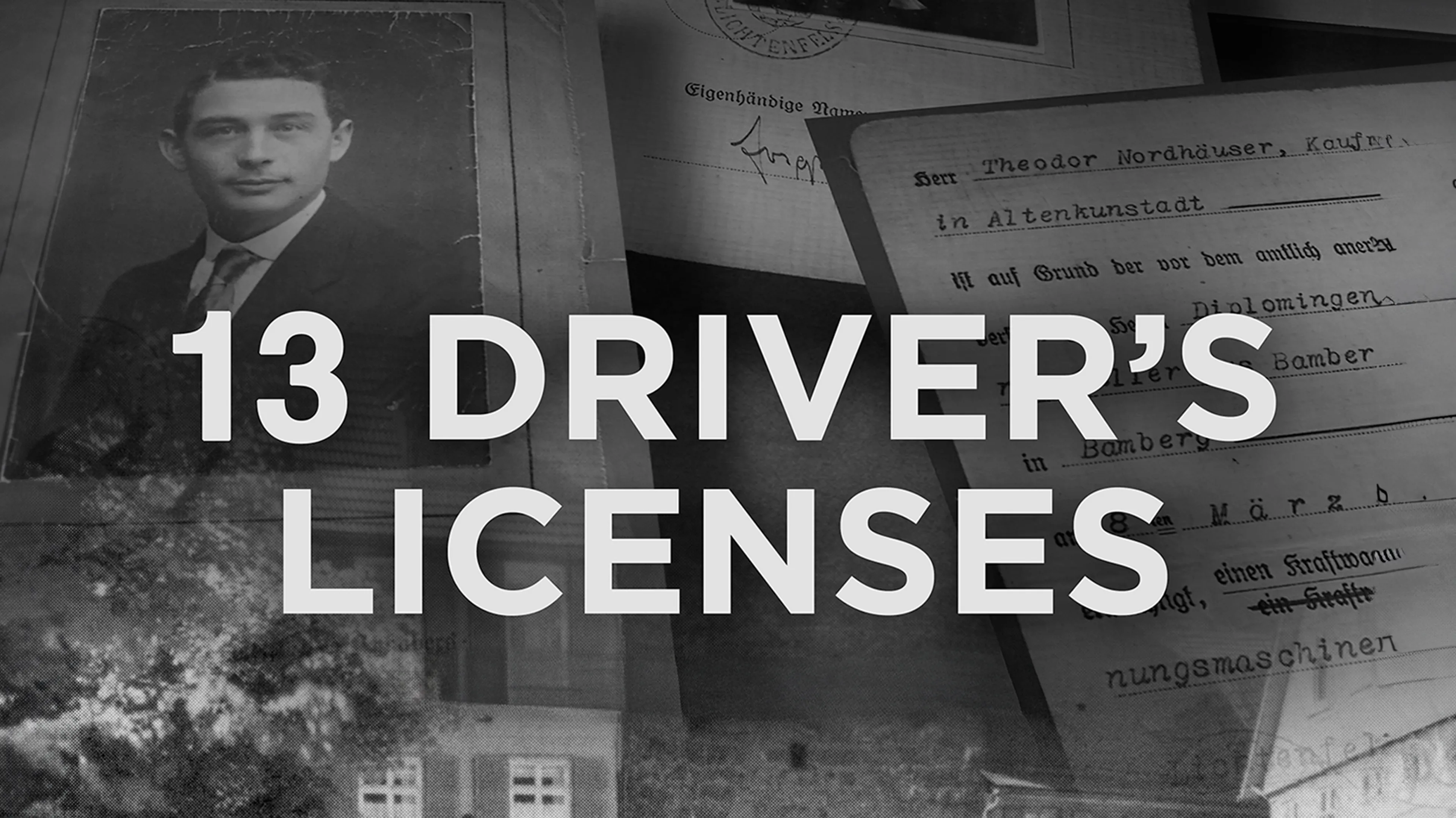 13 Driver's Licenses poster